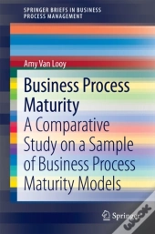 Business Process Maturity
