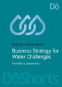Business Strategy For Water Challenges - Preview