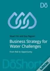 Business Strategy For Water Challenges
