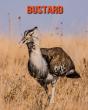 Bustard - Preview