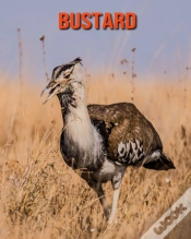 Capa do artigo Bustard