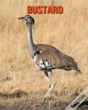 Bustard
