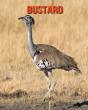 Bustard - Preview