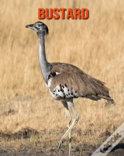 Capa do artigo Bustard