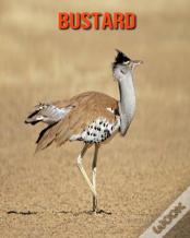 Bustard