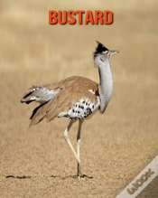 Capa do artigo Bustard