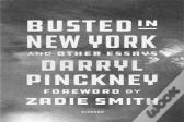 Busted In New York & Other Essays