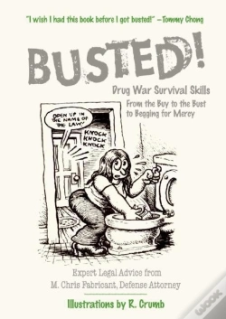 Capa do artigo Busted!