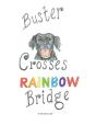 Buster Crosses Rainbow Bridge - Preview