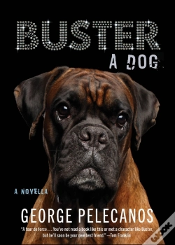 Capa do artigo Buster
