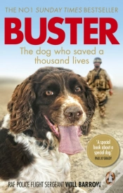 Capa do artigo Buster