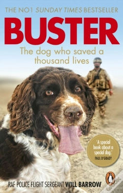 Capa do artigo Buster