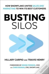 Capa do artigo Busting Silos