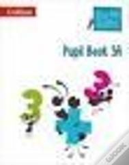 Busy Ant Maths - Year 3 Pupil Book 1