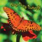 Busy, Busy Butterfly - Preview