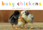 Busy Chickens - Preview