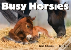 Capa do artigo Busy Horsies