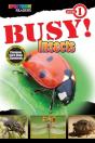 Busy! Insects - Preview
