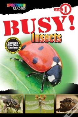 Capa do artigo Busy! Insects