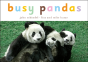 Busy Pandas - Preview