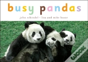 Capa do artigo Busy Pandas