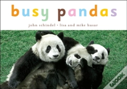 Capa do artigo Busy Pandas