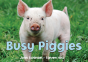 Busy Piggies - Preview