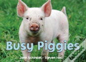 Capa do artigo Busy Piggies