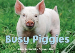 Capa do artigo Busy Piggies