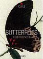 Butterflies - Preview