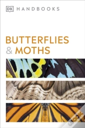 Butterflies And Moths