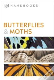 Capa do artigo Butterflies And Moths