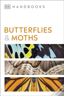 Capa do artigo Butterflies And Moths