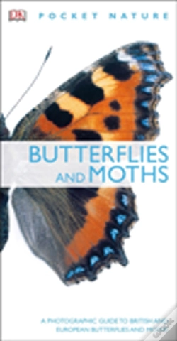 Capa do artigo Butterflies And Moths
