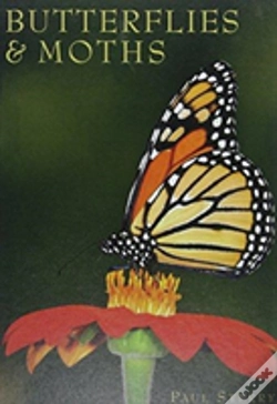 Capa do artigo Butterflies & Moths