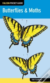 Capa do artigo Butterflies & Moths
