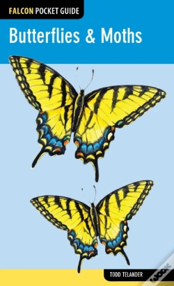 Capa do artigo Butterflies & Moths