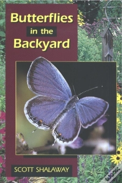Capa do artigo Butterflies In The Backyard
