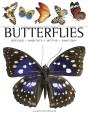 Butterflies - Preview