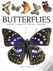 Capa do artigo Butterflies