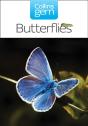 Butterflies - Preview