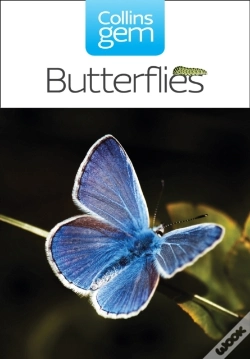 Capa do artigo Butterflies