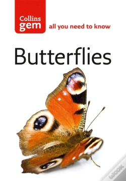 Capa do artigo Butterflies