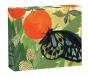 Butterflies Quicknotes - Preview