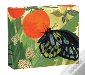 Capa do artigo Butterflies Quicknotes