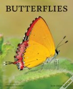 Capa do artigo Butterflies