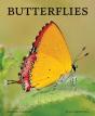 Butterflies - Preview