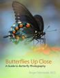 Butterflies Up Close - Preview