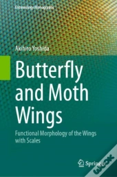 Butterfly And Moth Wings