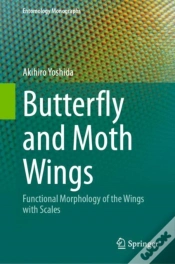 Capa do artigo Butterfly And Moth Wings